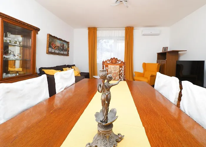 公寓 Paradise Premium 扎达尔